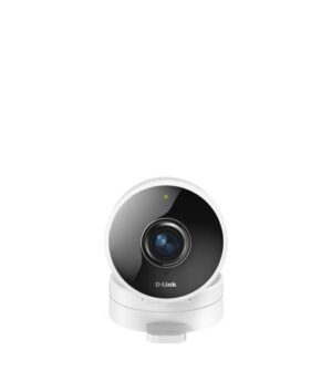D-Link DCS-8100LH