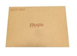 RG-LIC-WS-32