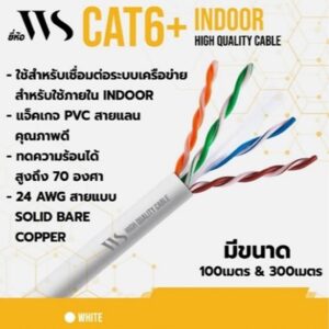 WS Cat6 100M