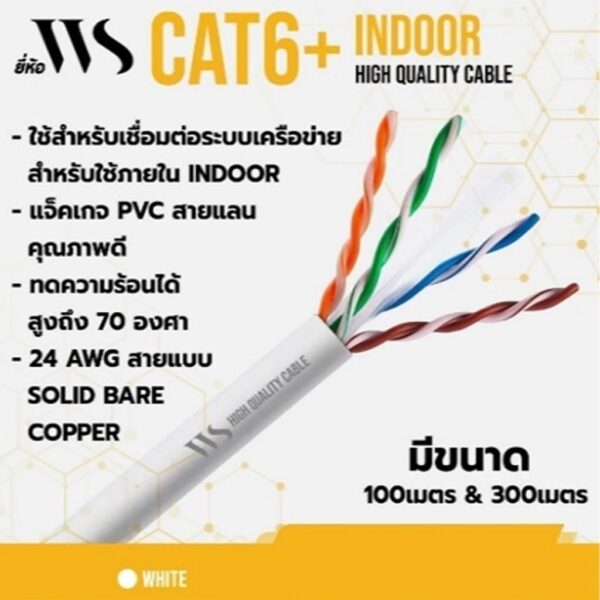 WS Cat6 300M
