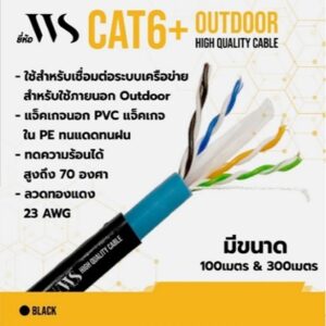 WS Cat6 Outdoor 100M