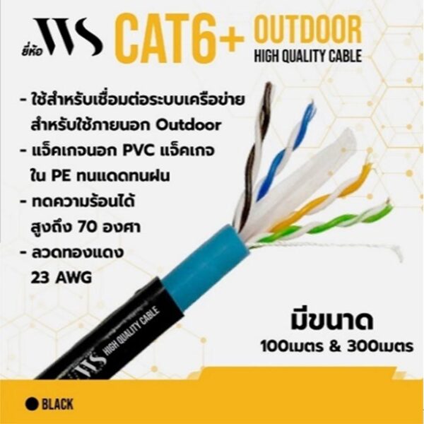 WS Cat6 Outdoor 100M