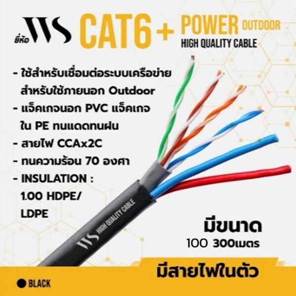WS Cat6 Outdoor + Power 100M